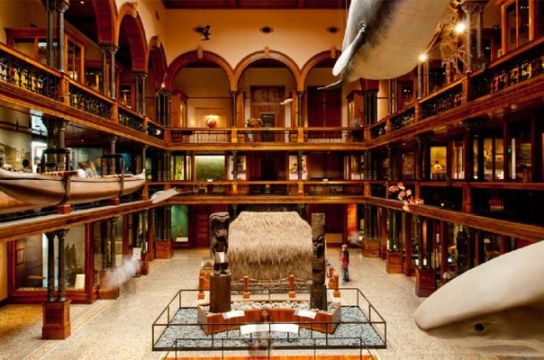 Bishop-Museum Hawaii